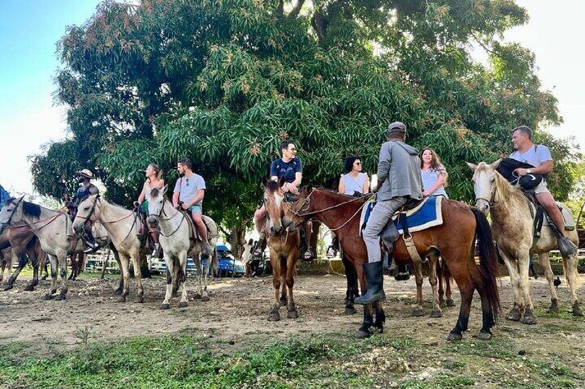 Experience Horse riding with Zipline and Dune Buggy