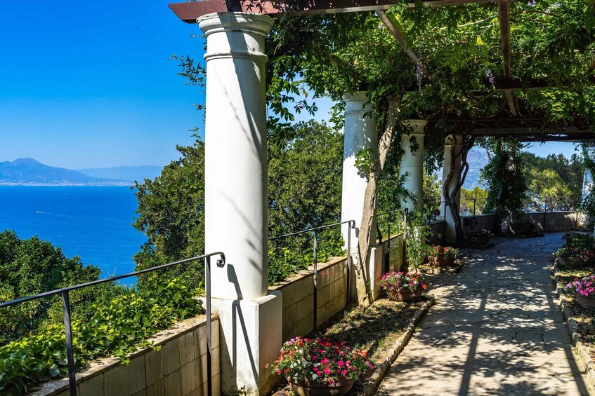 Picture 1 for Activity From Sorrento: Capri, Anacapri, & Blue Grotto Full-Day Trip