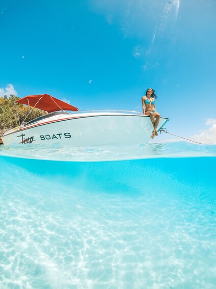 Mauritius: Private Speedboat dolphin watch and Ile aux cerfs
