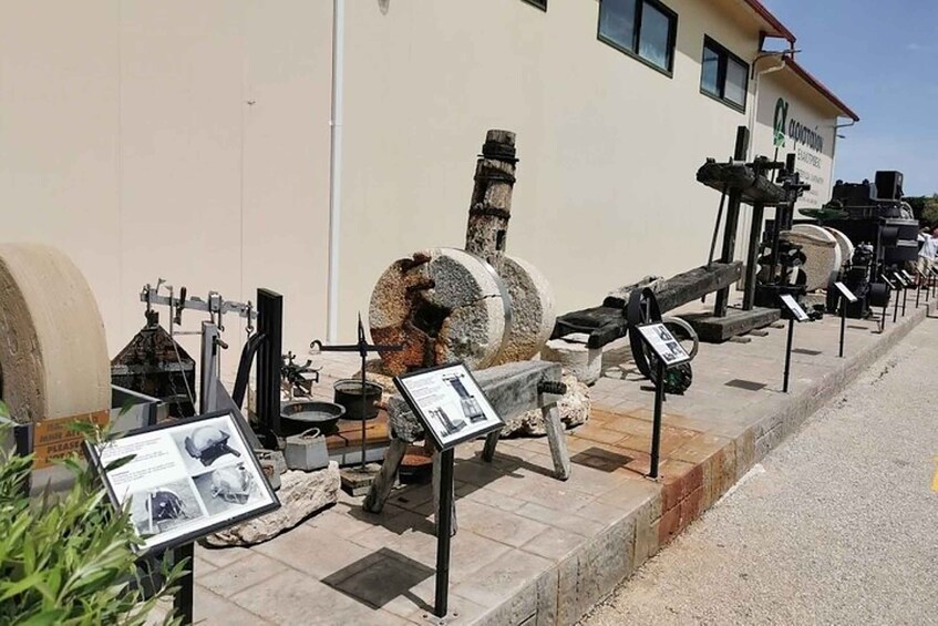 Picture 13 for Activity Zakynthos: Marathonisi, Cameo Island and Keri Caves Tour