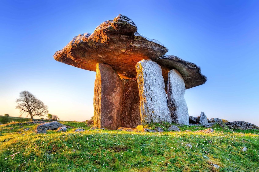 Picture 7 for Activity Cliffs of Moher Full-Day Tour from Dublin