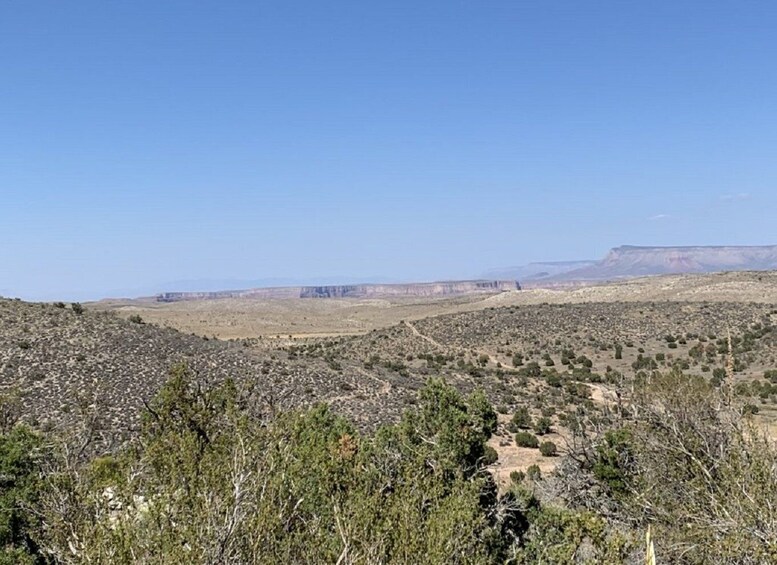 Picture 2 for Activity Las Vegas: Grand Canyon Helicopter West Rim Flight & Options