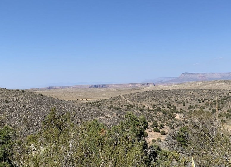 Picture 2 for Activity Las Vegas: Grand Canyon Helicopter West Rim Flight & Options