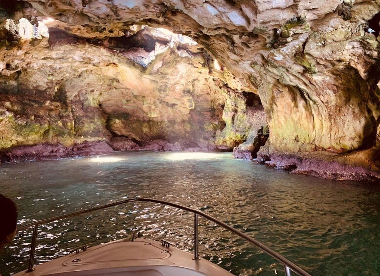 Picture 4 for Activity 3 hours private boat tour in Polignano a Mare