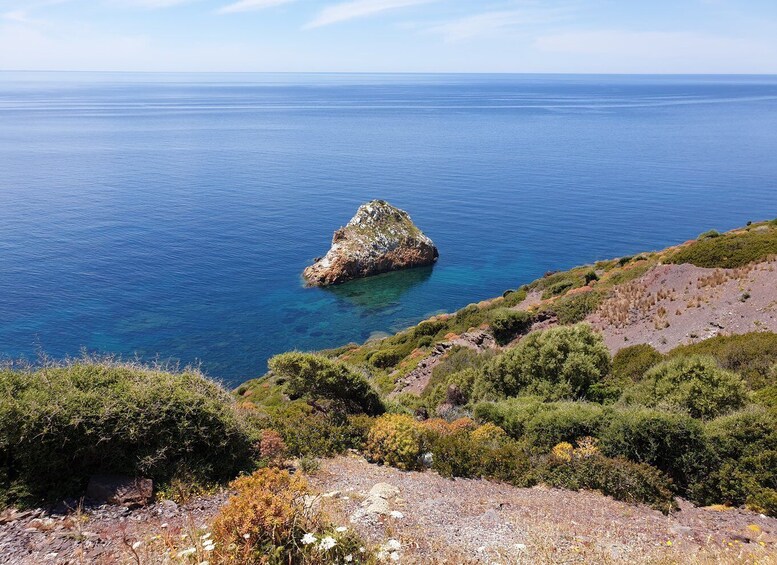 Picture 8 for Activity Cagliari: Amazing Sulcis Jeep Experience from Iglesias