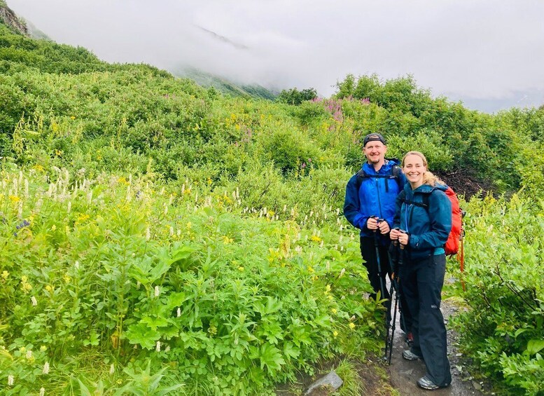 Picture 9 for Activity Seward: Guided Wilderness Hike with Transfer