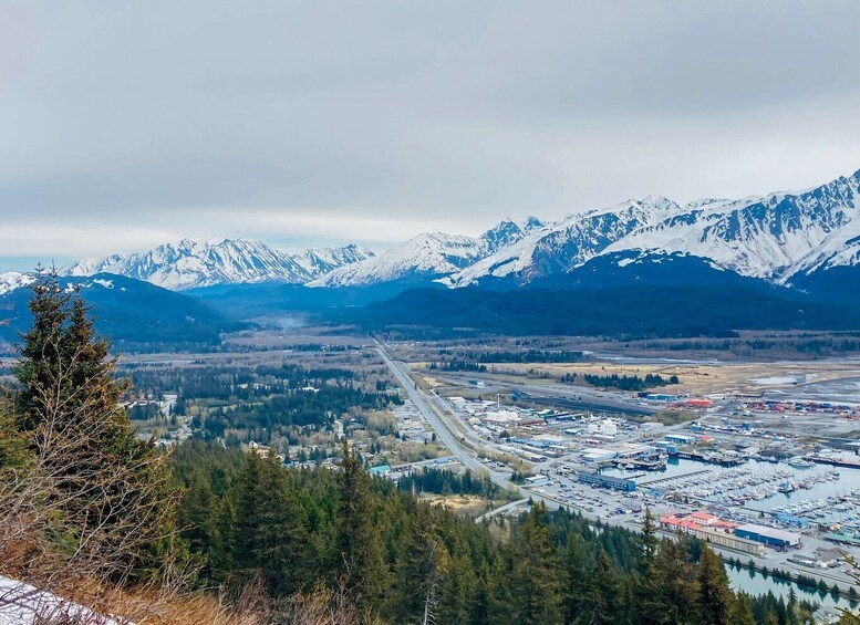 Picture 3 for Activity Seward: Guided Wilderness Hike with Transfer