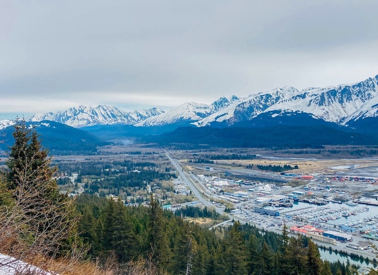 Picture 3 for Activity Seward: Guided Wilderness Hike with Transfer