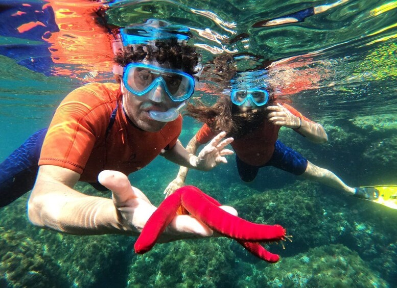 Picture 6 for Activity Giardini Naxos: Boat Trip Isola Bella with Snorkeling