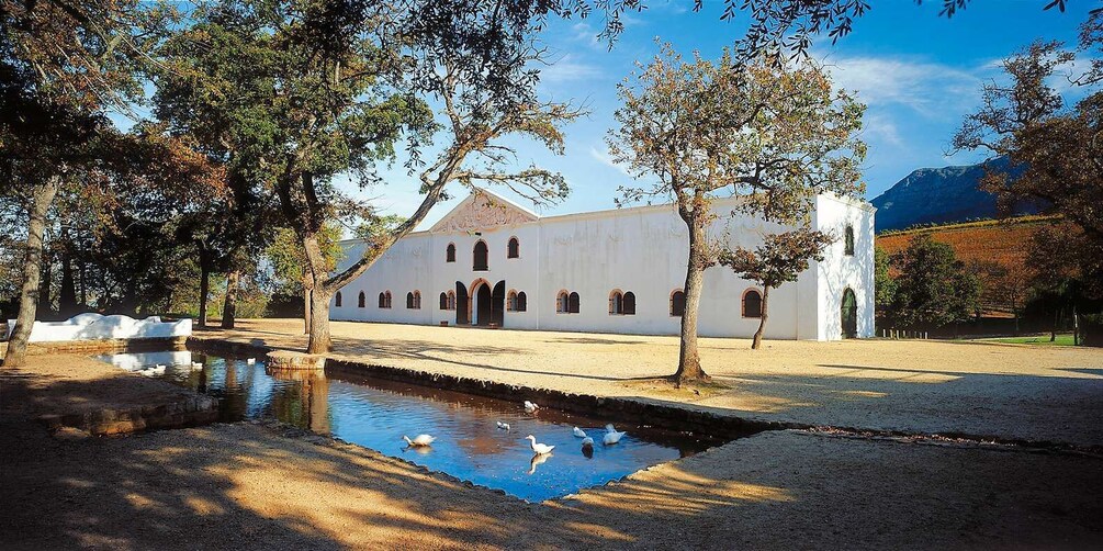 From Cape Town: Constantia Wine Region Helicopter Tour