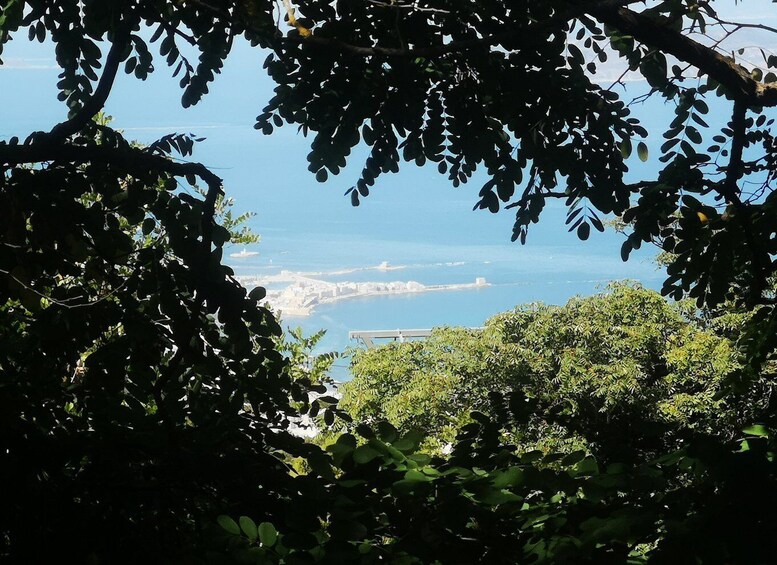 Picture 11 for Activity From Trapani: Erice Walking Tour and Local Products Tasting