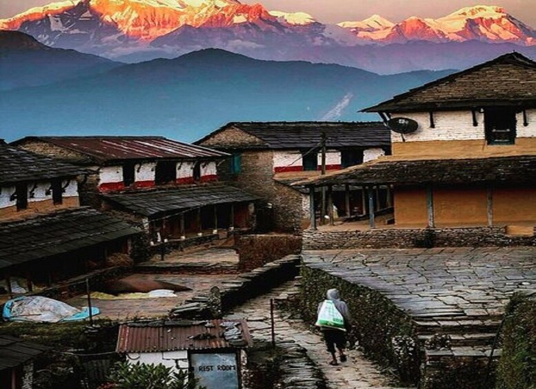 Picture 9 for Activity From Pokhara: Guided Tour to Visit 4 Himalayas View Point