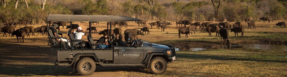Picture 2 for Activity Victoria Falls: Big 5 Night Rhino Game Drive + Bush Dinner