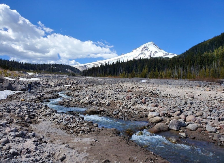 Picture 4 for Activity From Portland: Full Day Gorge Waterfalls & Mt. Hood Tour