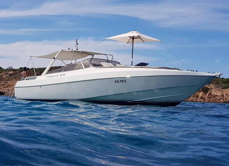Picture 11 for Activity Exclusive motor boat dolphins watch