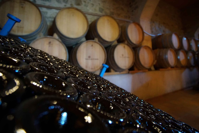 Picture 2 for Activity From Barcelona: Sailing and Wine Tasting Experience