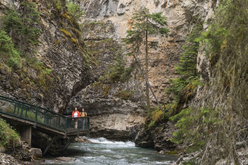 Picture 4 for Activity In-Depth Banff Area & Canyon Day Tour from Calgary or Banff