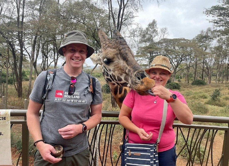 Nairobi: Baby elephants, giraffes, & beads Factory Half-Day