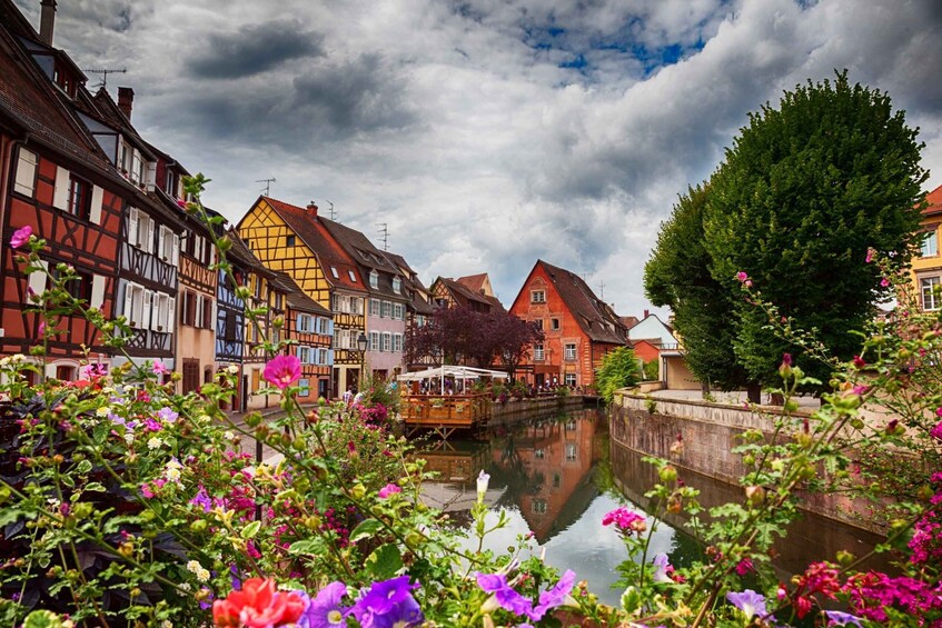 Picture 2 for Activity Frankfurt to Black Forest, Baden-Baden, Freiburg and by Car