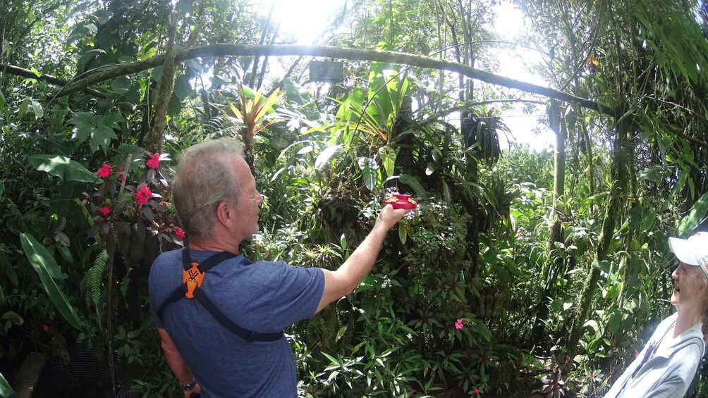 Picture 16 for Activity From Quito: Mindo Trekking & Wildlife Guided Day Trip