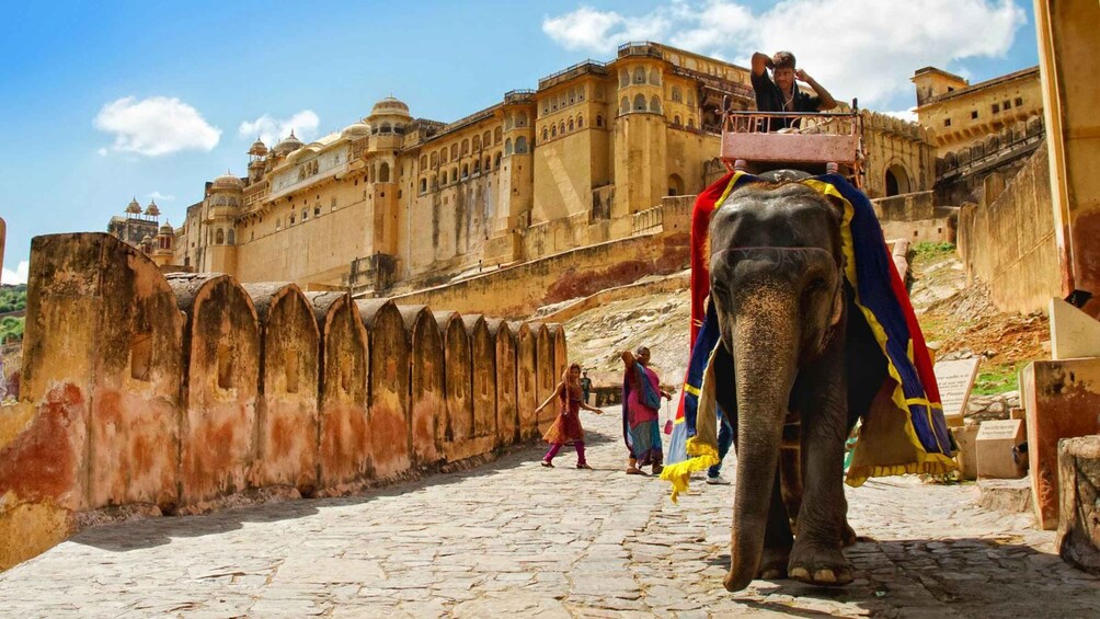 Picture 13 for Activity 06 Days Golden Triangle Tour with Ranthambore Safari