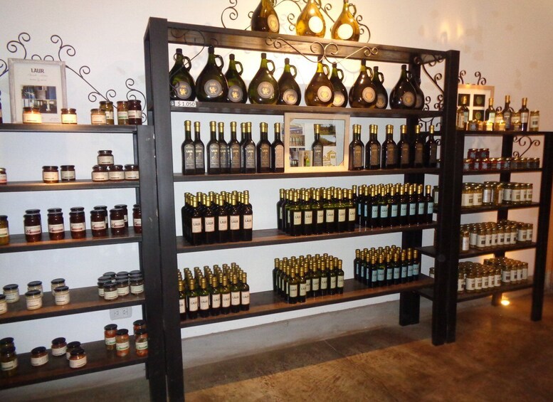 Picture 2 for Activity Mendoza: Half-Day Wine Tour with Tastings
