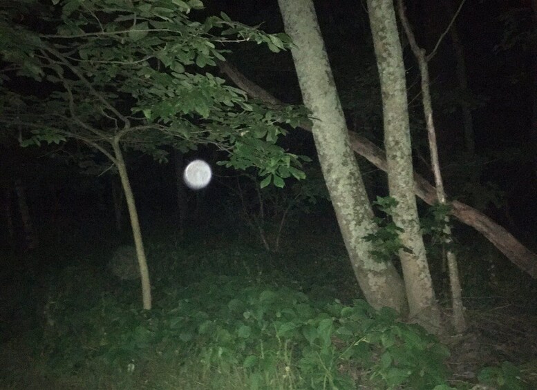 Picture 4 for Activity St. Augustine: Evening Paranormal Investigation Tour