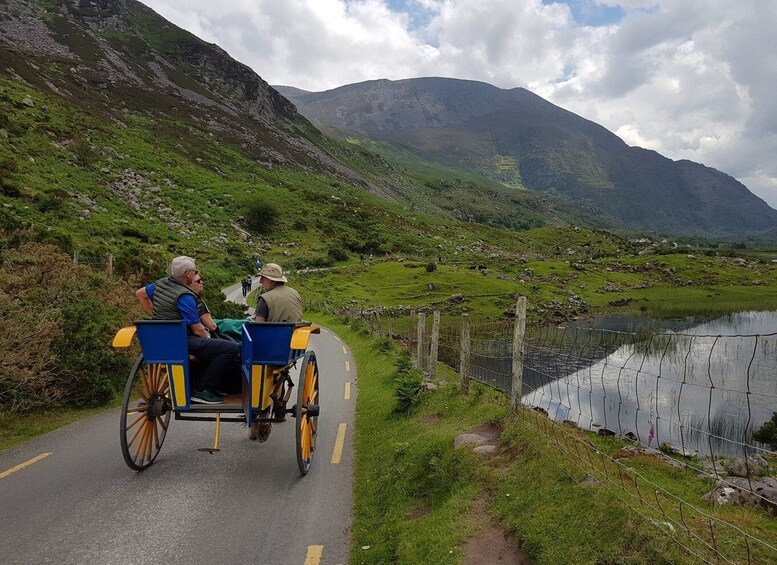 Picture 6 for Activity Killarney: Lakes of Killarney Boat Tour with Transfer