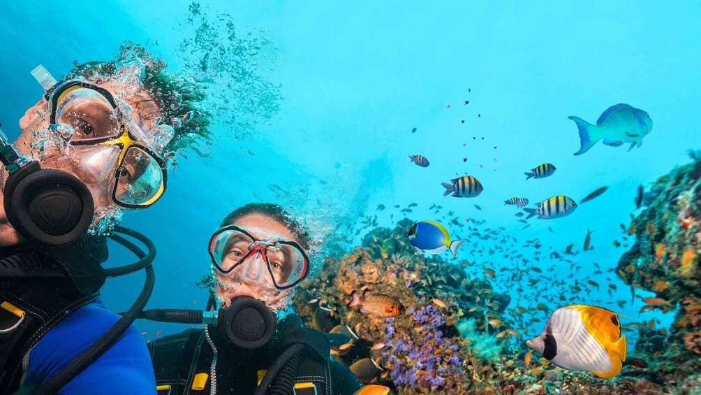 Scuba Diving from Kusadasi