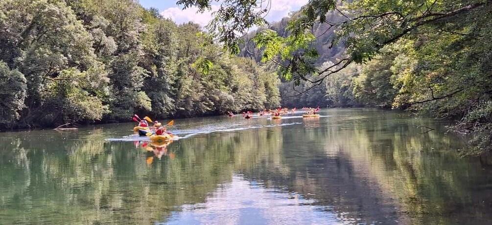 Picture 12 for Activity Rafting/Kayaking adventure river Kupa
