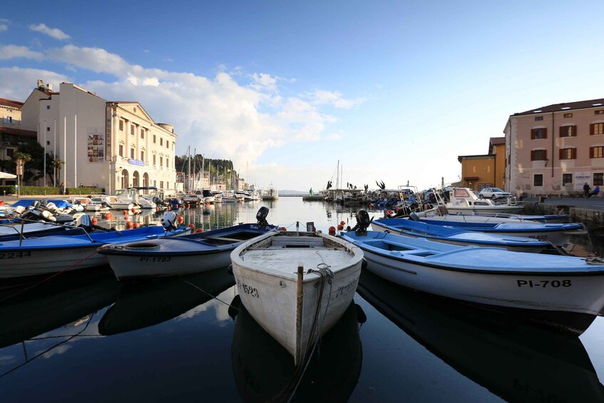Picture 6 for Activity Scenic Piran Parks: Boutique Tour & Stunning Views