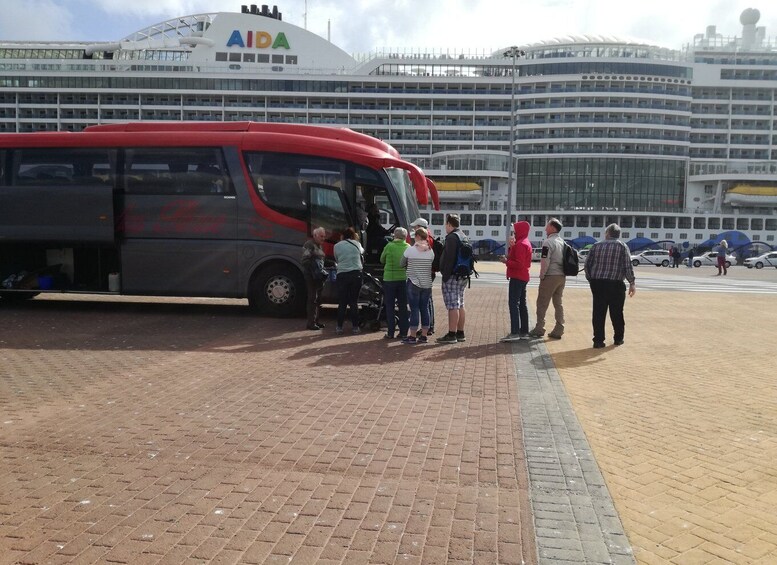 Picture 1 for Activity Lanzarote: César Manrique & Teguise Market from Cruise Port
