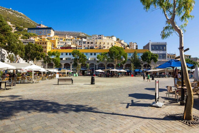 Picture 6 for Activity From Costa del Sol: Gibraltar Day Trip with Free Time