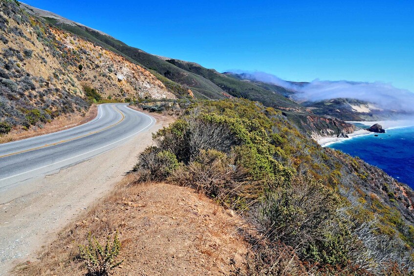 Picture 4 for Activity Big Sur: Sightseeing Tour with 4 to 5 Stops
