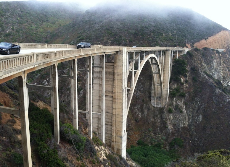 Picture 10 for Activity Big Sur: Sightseeing Tour with 4 to 5 Stops
