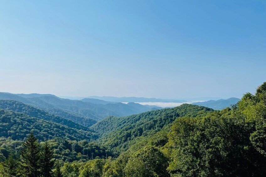 Smoky Mountains Newfound Gap Jeep Tour