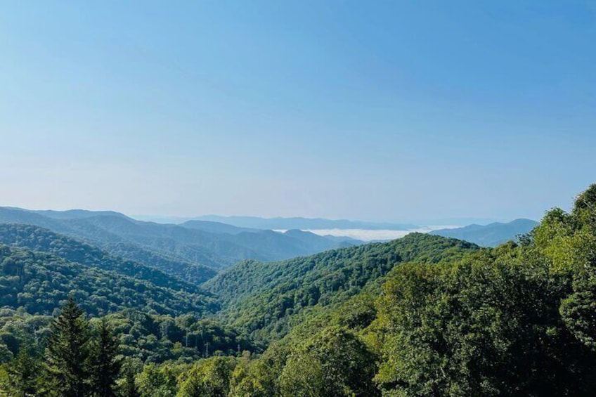 Smoky Mountains Newfound Gap Jeep Tour