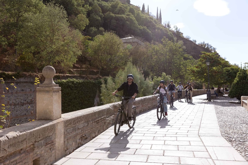 Picture 4 for Activity Granada: Albaicin and Sacromonte E-Bike Tour