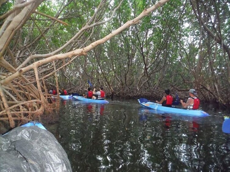 Bioluminescent Bay Glass Bottom Kayak Tour