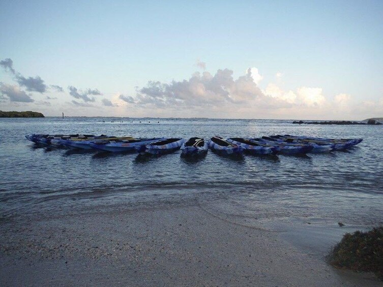 Bioluminescent Bay Glass Bottom Kayak Tour