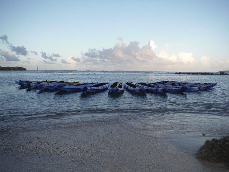 Bioluminescent Bay Glass Bottom Kayak Tour