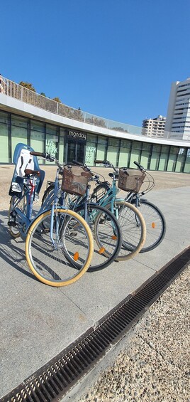 Picture 5 for Activity Malaga: Private Bike Rental