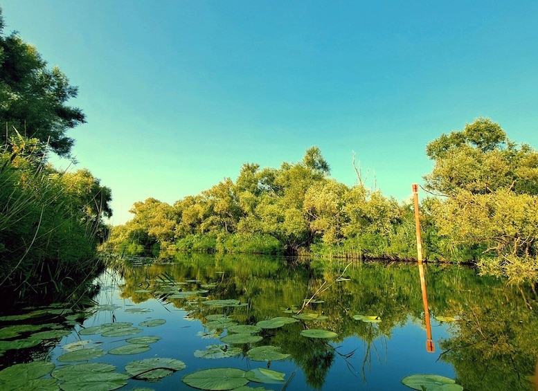 Picture 8 for Activity Kayak Adventure: Paddle your way through Lake Skadar