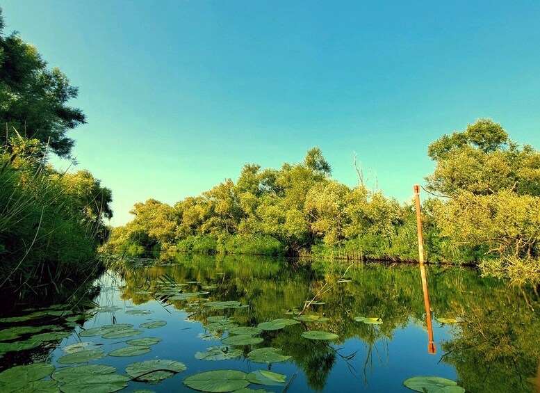 Picture 8 for Activity Kayak Adventure: Paddle your way through Lake Skadar