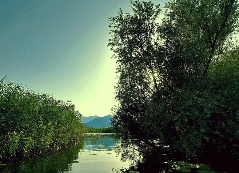 Picture 3 for Activity Kayak Adventure: Paddle your way through Lake Skadar
