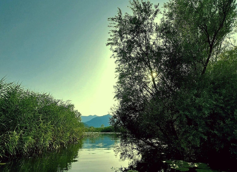 Picture 3 for Activity Kayak Adventure: Paddle your way through Lake Skadar