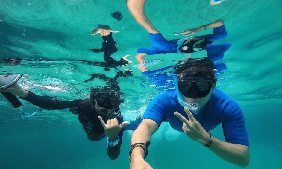 Picture 1 for Activity Full Day Pinzon Island, Finishing in la Fe with Snorkeling