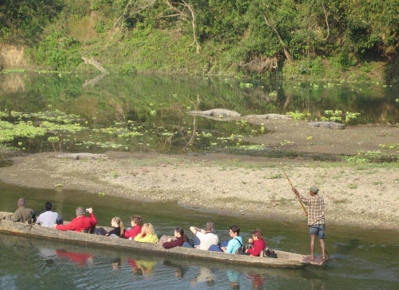 Picture 30 for Activity Kathmandu: 3-Day Wildlife, Culture and Jungle Safari Tour