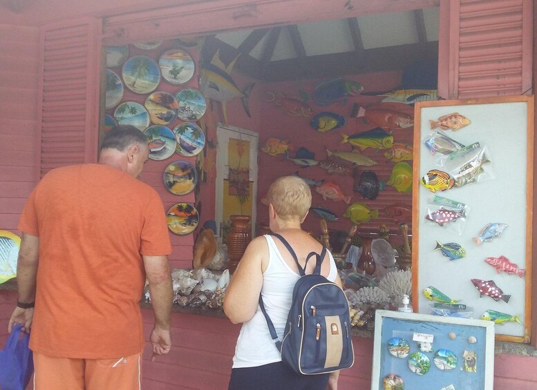 Picture 3 for Activity Private half day tour with free rum tasting