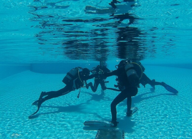 Picture 6 for Activity Madeira: Open Water Diver First Certification Course